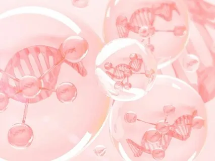 The New Is Already Here - A Heart Library Meditation