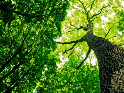 The Next Step In Our Collective Evolution: Inviting The Divine Masculine