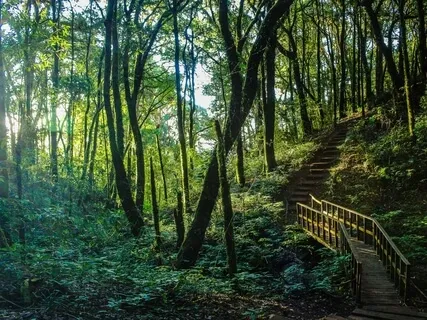 The Next Step Is Revealed - A Practical Prayer