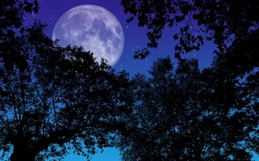 The Night Train | Bedtime Story To Fall Asleep