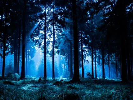 The Night Train To The Hearth