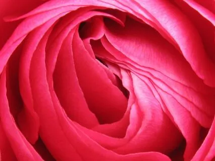 The Nine Powers Of Women: The Power Of Beauty