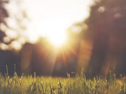 The Non Meditative State Causes Suffering In Day To Day Life