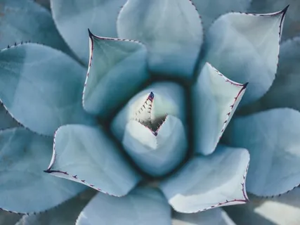 Heal The "Not Good Enough" Wound