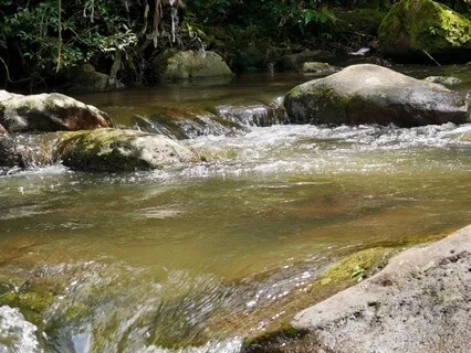 The Nourishment Of Simplicity