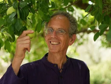 The Observer And The Ego