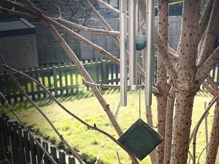 The Observer (Experimental Music)