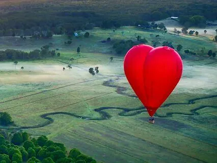 The Observer Within You