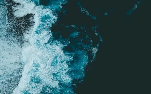 The Ocean (Acoustic Version)