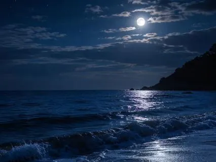 The Ocean | Continuous Ocean Waves | 10 Hours