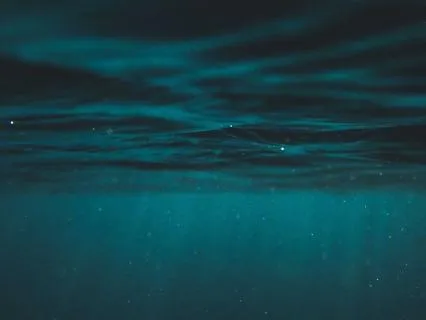 The Ocean Current: Learning To Stop Fighting Your Own Body