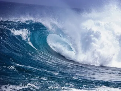 The Ocean Forgives Human Nature