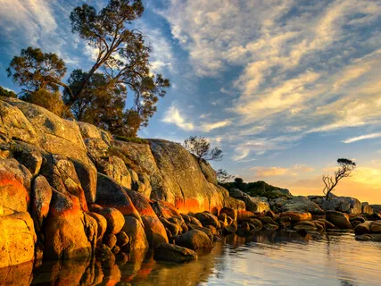 The Ocean Near My Tasmanian Home - Real Water Sounds & Relaxation Music