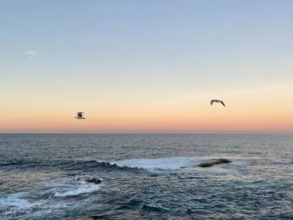 The Ocean Of Awareness