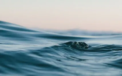 The Ocean Of Holy Love Experience