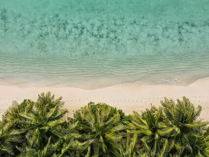 Deep Healing In The Ocean Of Love And Belonging