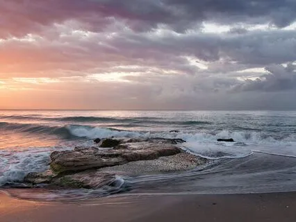 The Ocean Of Presence: Finding Stillness Beneath The Waves