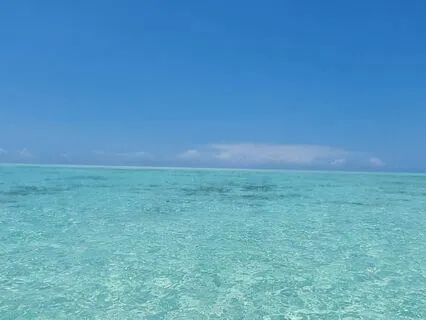 The Ocean Of Self Compassion