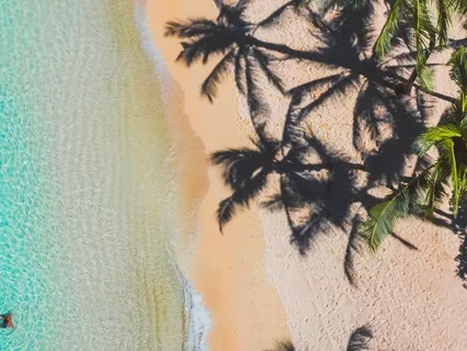 The Ocean Of Surrender