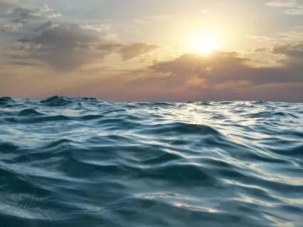 The Ocean Of Wisdom - Connecting Sacral & 3rd Eye