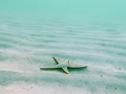 The Ocean Of You, Part 1