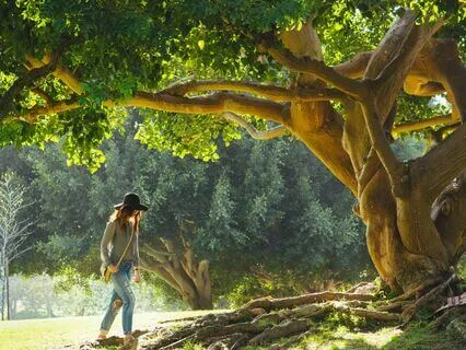 The OKness Of Everything