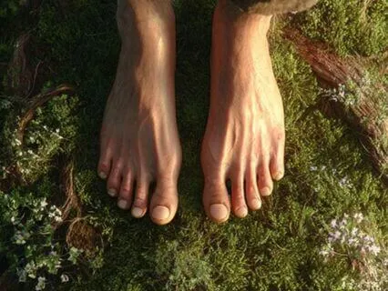 The Oldest Home - Embodiment & Belonging