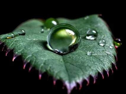 The One, And The Many