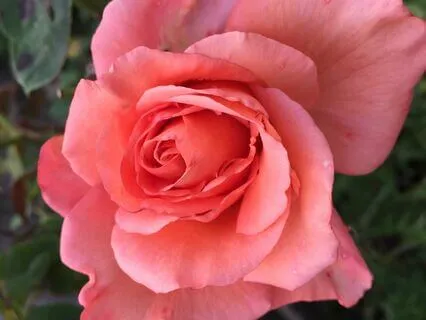 The One Minute Marke