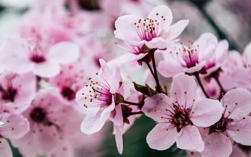 The One Question I Get Asked The Most