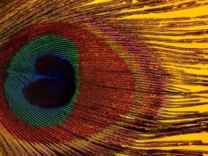 The One Round Breathwork Snack