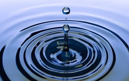 The One Thing: Cut Through Your Clutter & Revive Your Energy