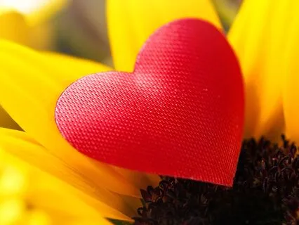 The One Who’s Always Been With You