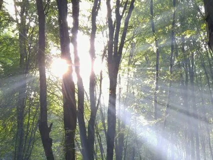 The One Who Sees — A 30-Minute Non-Dual Healing Meditation