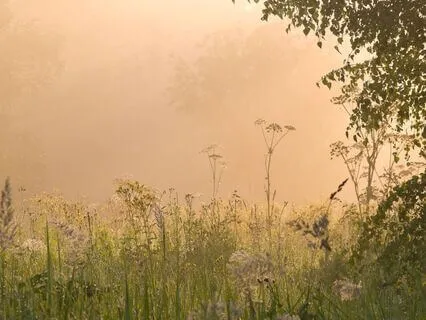 The One Who Wants To Awaken Is The Illusion