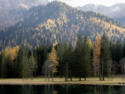 The Only Constant Is Change 