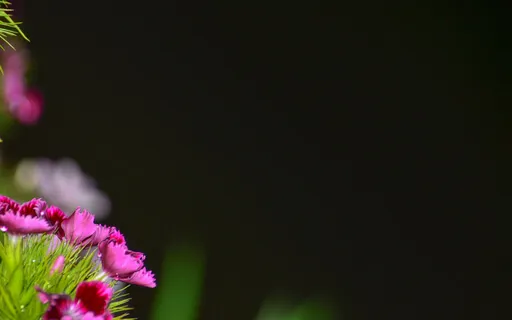 The Only Thing We Ever Need To Pray For