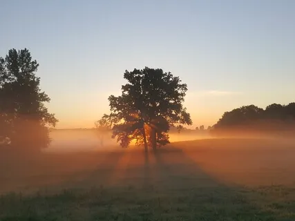 The Open Field Of Bliss