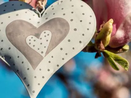 The Open Heart - A Summer Yoga Nidra