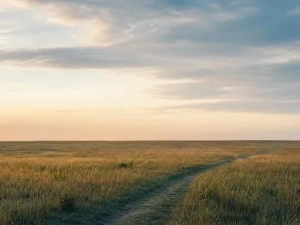 The Open Space - A Visualization For Rest