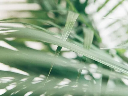 The Other Side Of Light