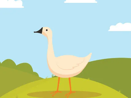 The Paddling Pool And The Goose Story