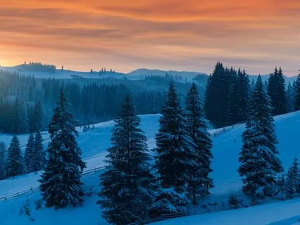 The Pageant Wagon | Winter Solstice Sleep Story With Music