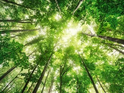 The Pain Of Betrayal