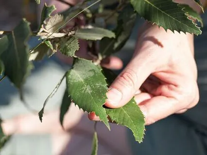 The Palace Within: Remembering What’s Possible