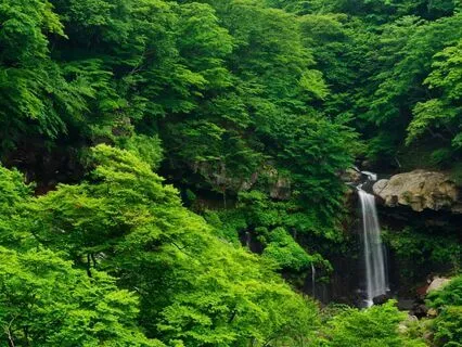 The Paradise Lost Waterfall Experience