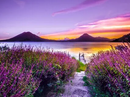 The Paradox of Control