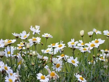 The Passage Home - Ultimate Spa, Reiki, Massage & Healing