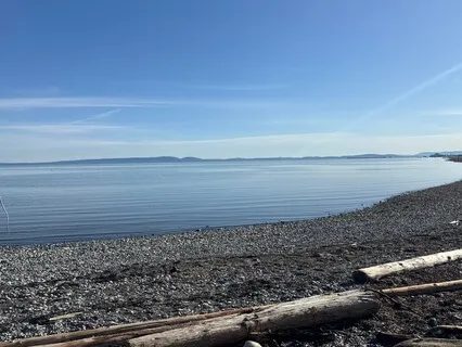 The Path Back To Self