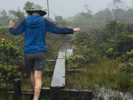 The Path: Connecting With Your Self Energy